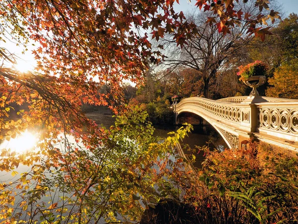 Central Park Νέα Υόρκη Φθινόπωρο Bow Bridge — Φωτογραφία Αρχείου