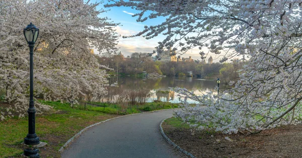 Lago Central Park New York Manhattan — Foto Stock
