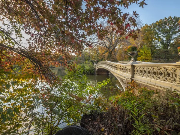 Central Park Nova York Outono Ponte Bow — Fotografia de Stock