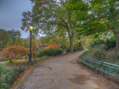 Baharda Central Park 'ta, New York City' de sabahın erken saatlerinde 