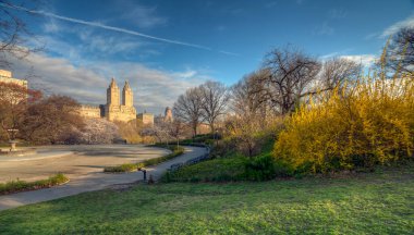 Baharda Central Park 'ta, New York City' de sabahın erken saatlerinde 