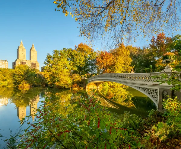 Most Łukowy Central Park Nowy Jork Późną Jesienią — Zdjęcie stockowe