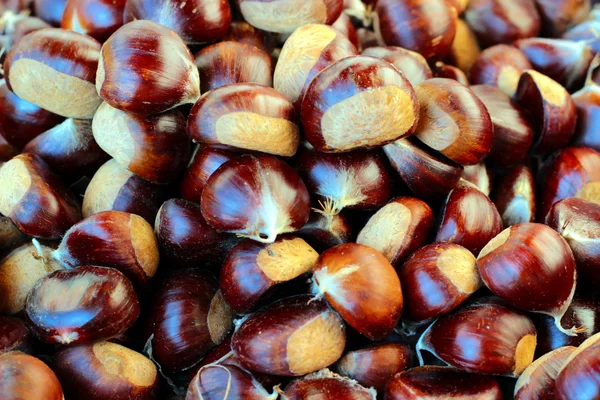 Alcune castagne in giardino — Foto Stock