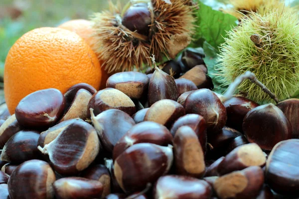 Alcune castagne in giardino — Foto Stock