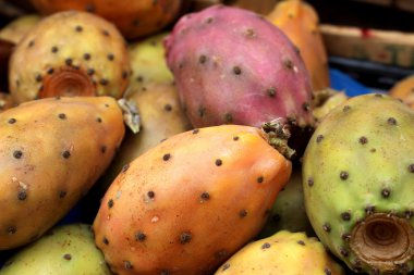 Bazı pahıllı armut