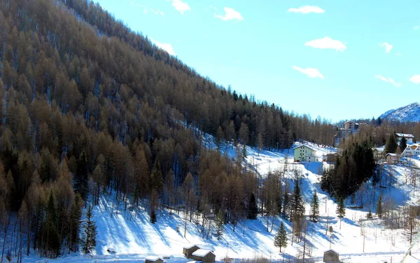 Un paesaggio invernale — Foto Stock