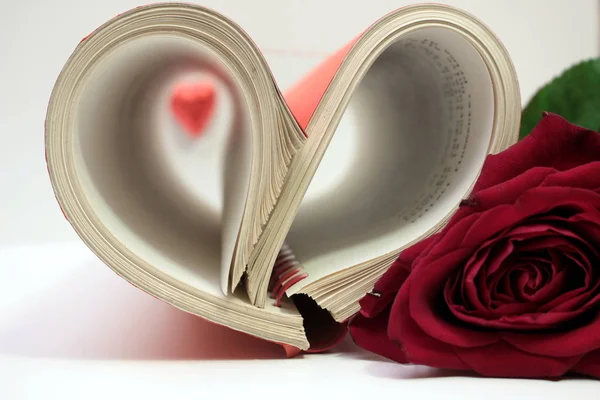 Coeur fait avec un livre — Photo