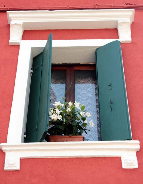 Окно с цветами — стоковое фото