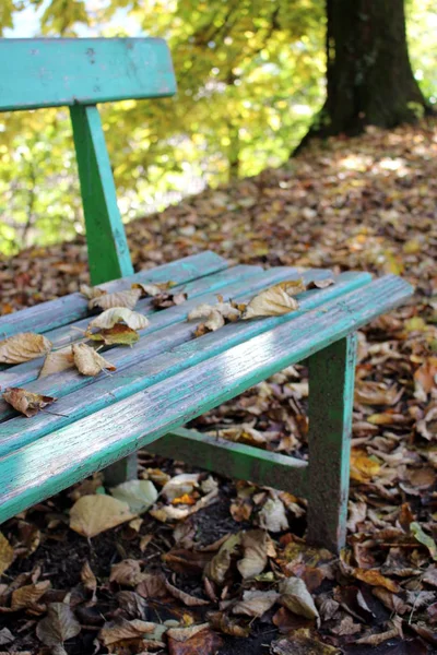 Bank im Park — Stockfoto