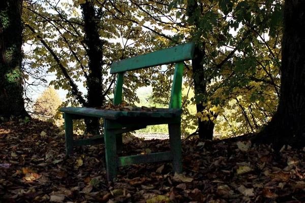 Bänk i parken — Stockfoto