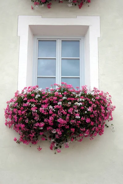 Una ventana de un palacio —  Fotos de Stock