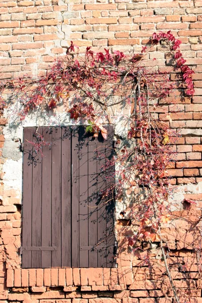 Una ventana de un palacio — Foto de Stock