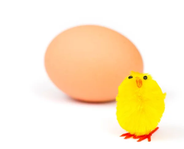 Easter chick and egg isolated — Stock Photo, Image