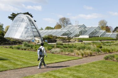 Kew Gardens kış bahçeleri