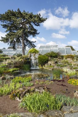 Rock Bahçe Kew Gardens