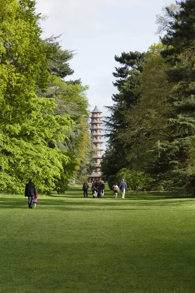 Cedar Vista and Great Pagoda Kew Gardens — Stock Photo, Image