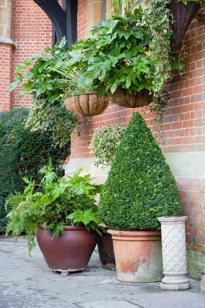 English garden pots