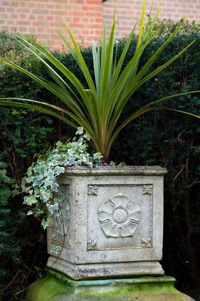 Urna jardim plantador — Fotografia de Stock