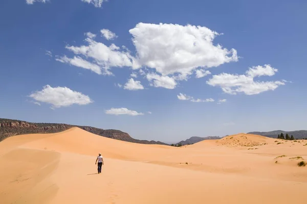Aziatische vrouw alleen in woestijn, Koraal roze zand duinen, Utah — Stockfoto