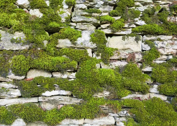 乾燥した石の壁の背景イギリス — ストック写真