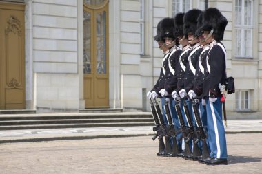 Danimarka Kraliyet hayat koruma