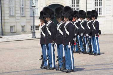 Danimarka Kraliyet hayat koruma