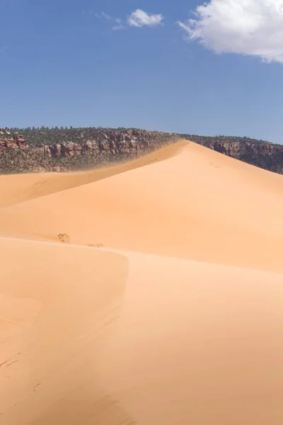 犹他州珊瑚粉色沙丘沙漠景观中的沙丘 — 图库照片