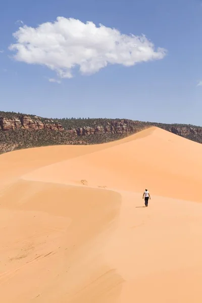 Woman alone in Coral Pink Sand Dunes, Utah — Stock Photo, Image