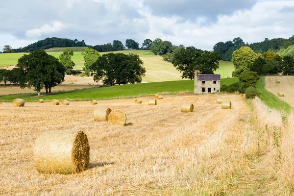 Körkörös Szénabálák Vagy Szalmatekercsek Shropshire Ben Egyesült Királyság — Stock Fotó