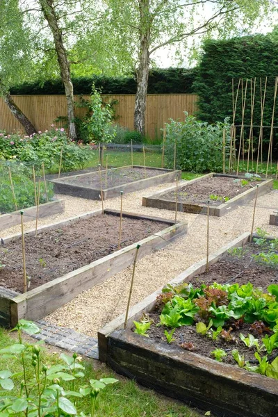 Potager Parterres Potagers Dans Jardin Royaume Uni — Photo