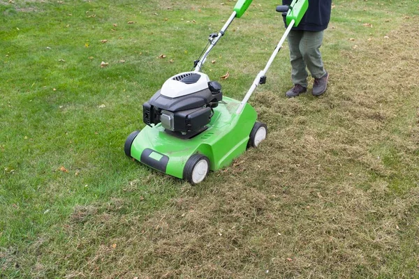 Τρομακτικό Γκαζόν Ένα Scarifier Πρόσωπο Dethatching Βρύα Μια Αυλή Συντήρηση — Φωτογραφία Αρχείου