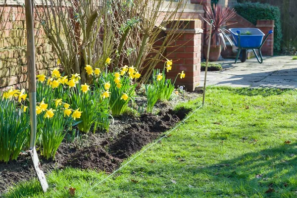 Gardening, digging a garden flower border in spring in a back yard, UK — Stock Image Gardening Digging Garden Flower Border Spring Back Yard Stock Photo
