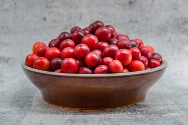 Bir kase taze toplanmış Mirabelle eriği.