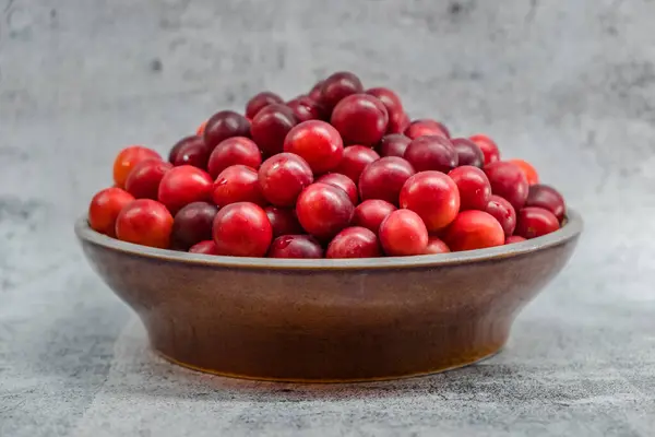 Bir kase taze toplanmış Mirabelle eriği.