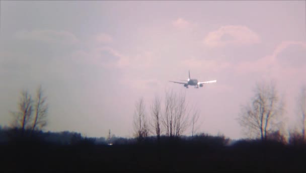 着陸の航空機夕日の木 — ストック動画