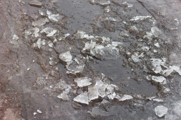 Hielo en un charco. pedazos de agua congelada mañana. superficie resbaladiza peligroso —  Fotos de Stock