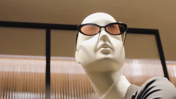 Schaufensterpuppe Mit Sonnenbrille Und Pullover Modisches Porträt Shopping Design — Stockvideo