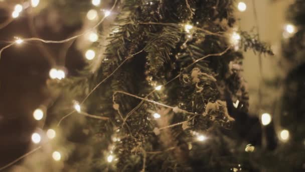 Kerstboom Decoraties Lichten Een Geschenk Winkel Etalage Viering — Stockvideo