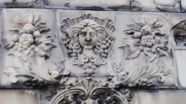 Duvarda klasik modellik var. Çiçekli ve böğürtlenli kadın. kalıp mimarisi