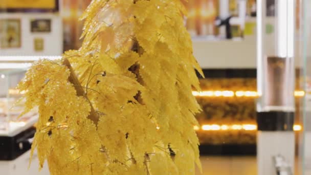 琥珀树 黄石子的分枝 奢侈品饰物 有机珠宝 — 图库视频影像