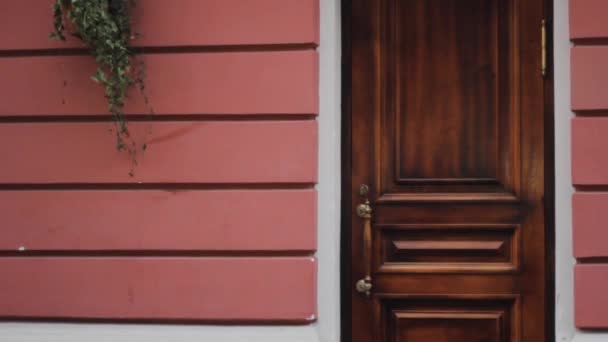 木製のドアの壁の背景ヴィンテージ ピンクのペンキ木造建築パターン建築 — ストック動画