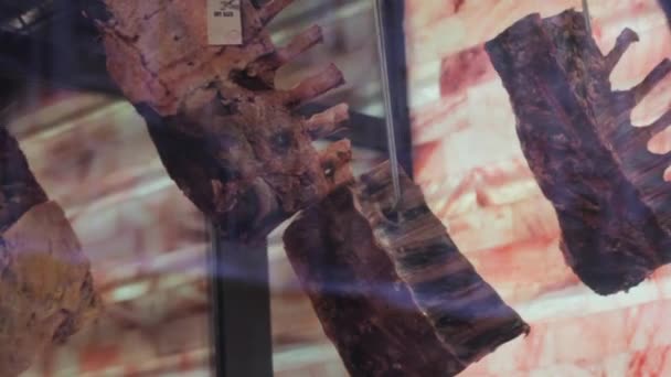 排泄物生产中的排骨肉 腌制纺纱 烧烤烧烤准备工作 — 图库视频影像