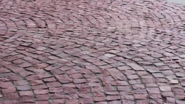 Textura de pedra de calhau rosa estrutura padrão de pavimento — Vídeo de Stock