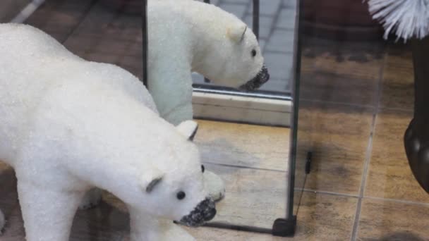 Маленький белый медвежонок отражается в зеркале. украшение. — стоковое видео