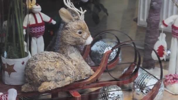 Μικρό ελάφι χαλαρώνει σε ένα έλκηθρο.βιτρίνα διακόσμηση Δεκεμβρίου Χριστούγεννα — Αρχείο Βίντεο
