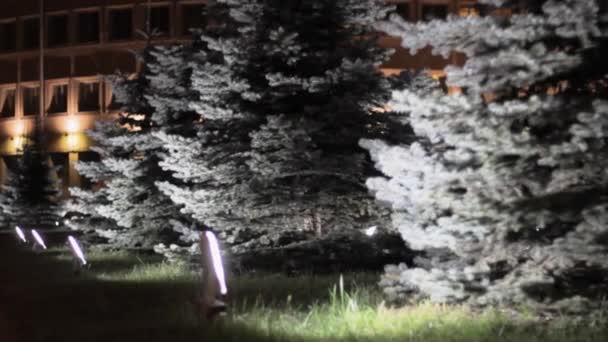 クリスマスツリーガーデンフェアの装飾 常緑樹の休日の成長 — ストック動画