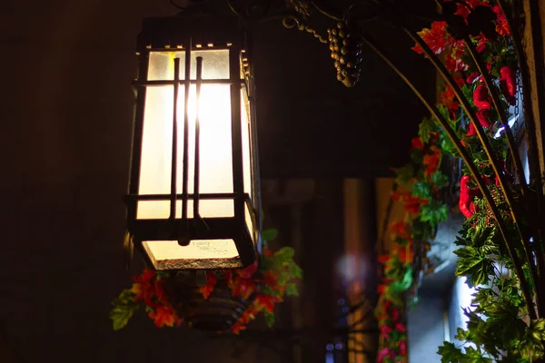 Vintage straatlamp op de veranda van de ingang. gesmede decoratieve planten — Stockfoto
