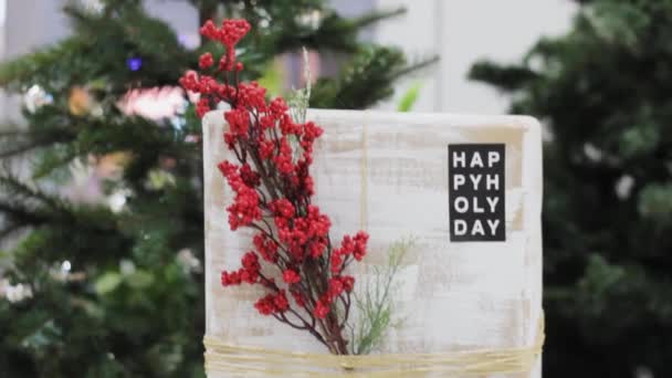 休日のギフト包装の花粉 花のスプルース幸せな休日の時間 — ストック動画