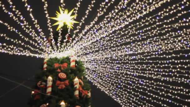 Guirnaldas Navidad Justo Colgando Diferentes Direcciones Línea Árboles — Vídeos de Stock