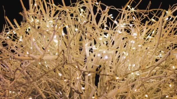Báječný strom girland bílá .decoration dovolená magie — Stock video
